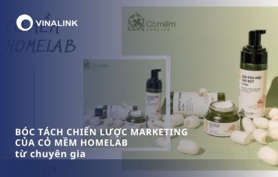 Bóc tách chiến lược marketing của Cỏ Mềm Homelab từ chuyên gia